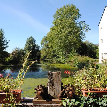 Logis Hotel Le Relais Du Moulin Valençay Esterno foto
